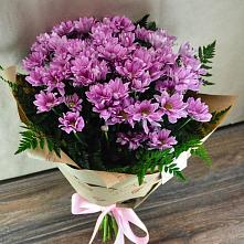 Букет цветов из:  Хризантемы #REPLACE_PRED# Алапаевске