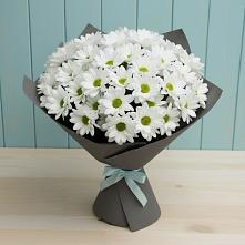 Букет цветов из:  Хризантемы #REPLACE_PRED# Алапаевске