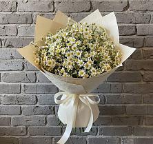 Букет цветов из:  Ромашки в Алапаевске