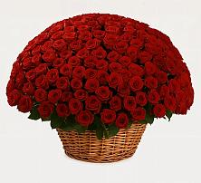 Премиум букет из: Розы #REPLACE_PRED# Алапаевске